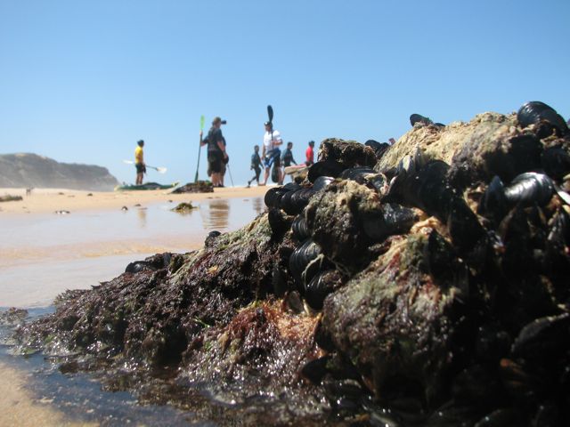 compday1img_6725 Low tide exposes a few rocks and barnacles.