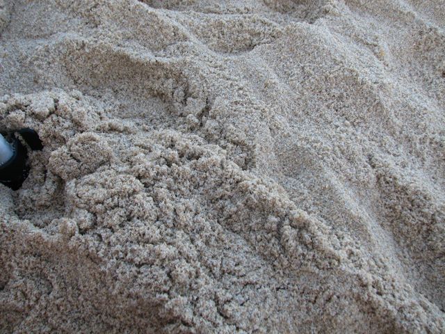 sand_img_6838 It is crammed into, caked onto and stuck inside of everything we own.